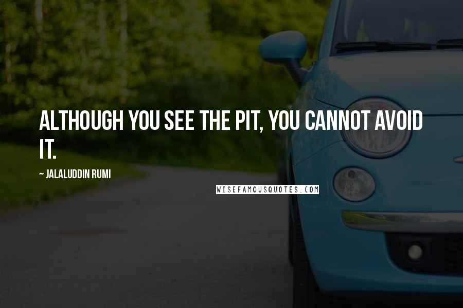 Jalaluddin Rumi Quotes: Although you see the pit, you cannot avoid it.