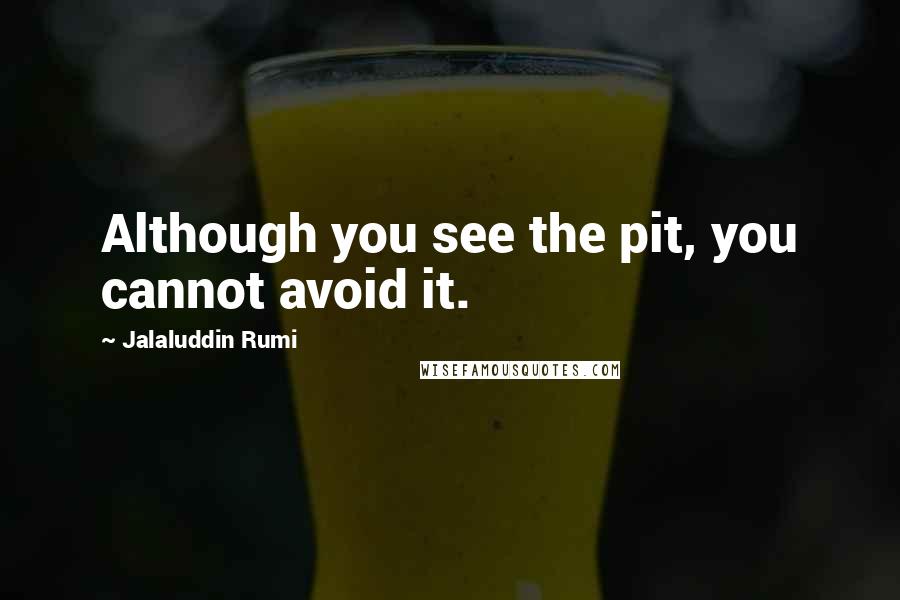 Jalaluddin Rumi Quotes: Although you see the pit, you cannot avoid it.
