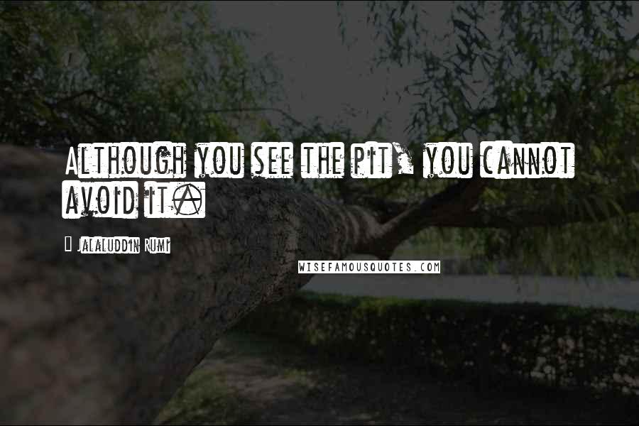 Jalaluddin Rumi Quotes: Although you see the pit, you cannot avoid it.