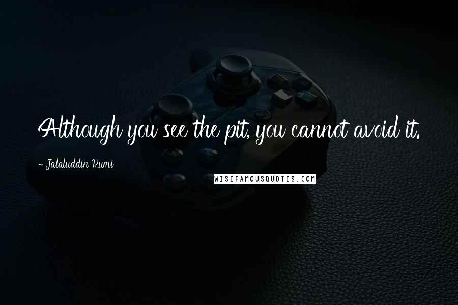 Jalaluddin Rumi Quotes: Although you see the pit, you cannot avoid it.