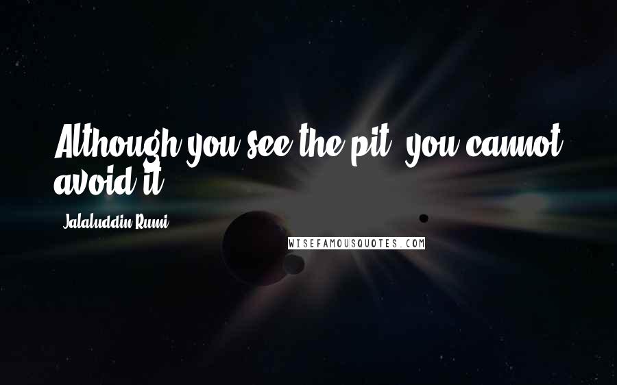 Jalaluddin Rumi Quotes: Although you see the pit, you cannot avoid it.