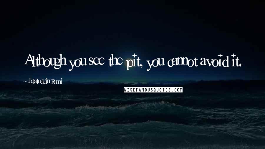 Jalaluddin Rumi Quotes: Although you see the pit, you cannot avoid it.