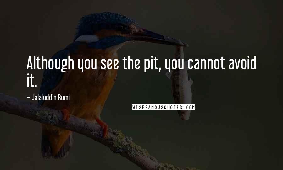 Jalaluddin Rumi Quotes: Although you see the pit, you cannot avoid it.