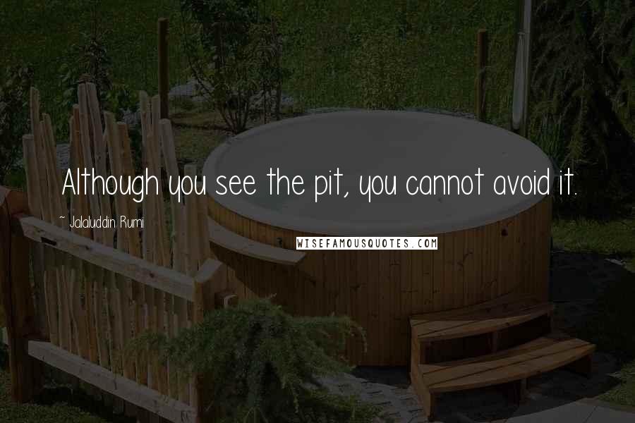 Jalaluddin Rumi Quotes: Although you see the pit, you cannot avoid it.