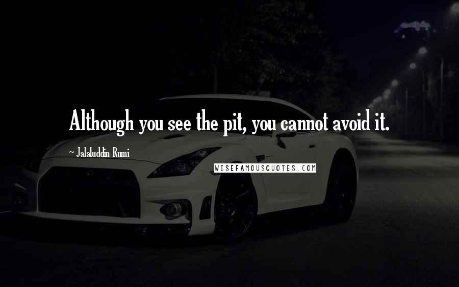 Jalaluddin Rumi Quotes: Although you see the pit, you cannot avoid it.
