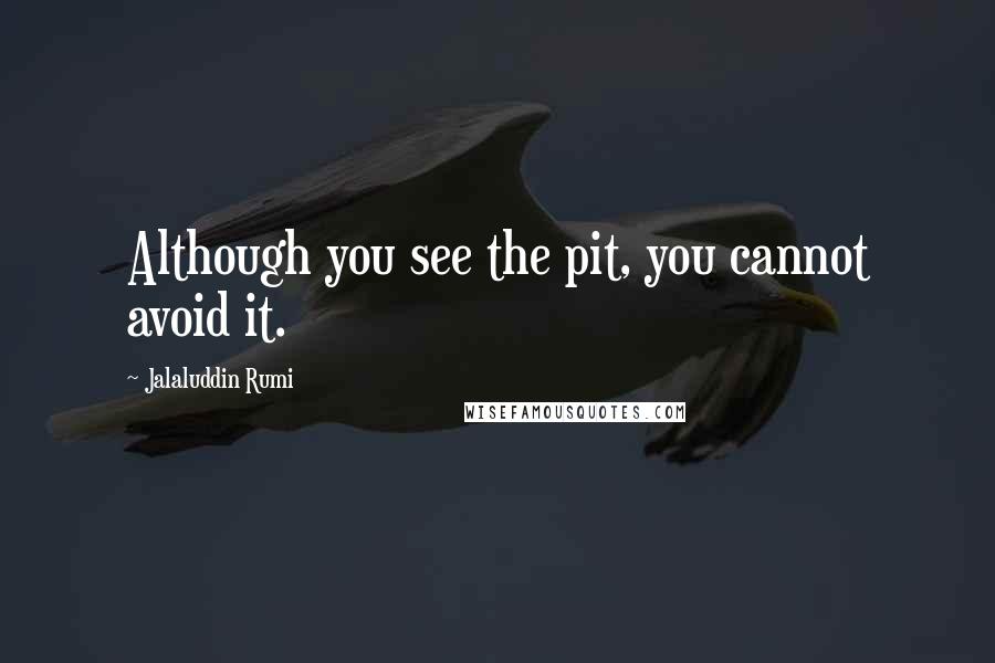 Jalaluddin Rumi Quotes: Although you see the pit, you cannot avoid it.