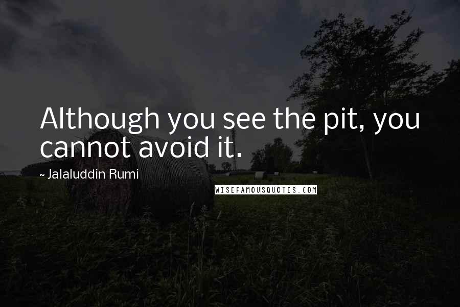 Jalaluddin Rumi Quotes: Although you see the pit, you cannot avoid it.