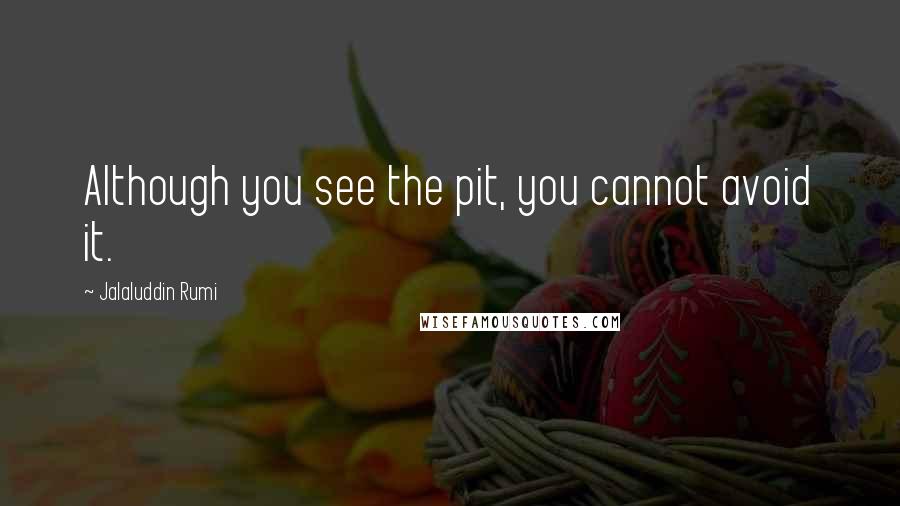 Jalaluddin Rumi Quotes: Although you see the pit, you cannot avoid it.