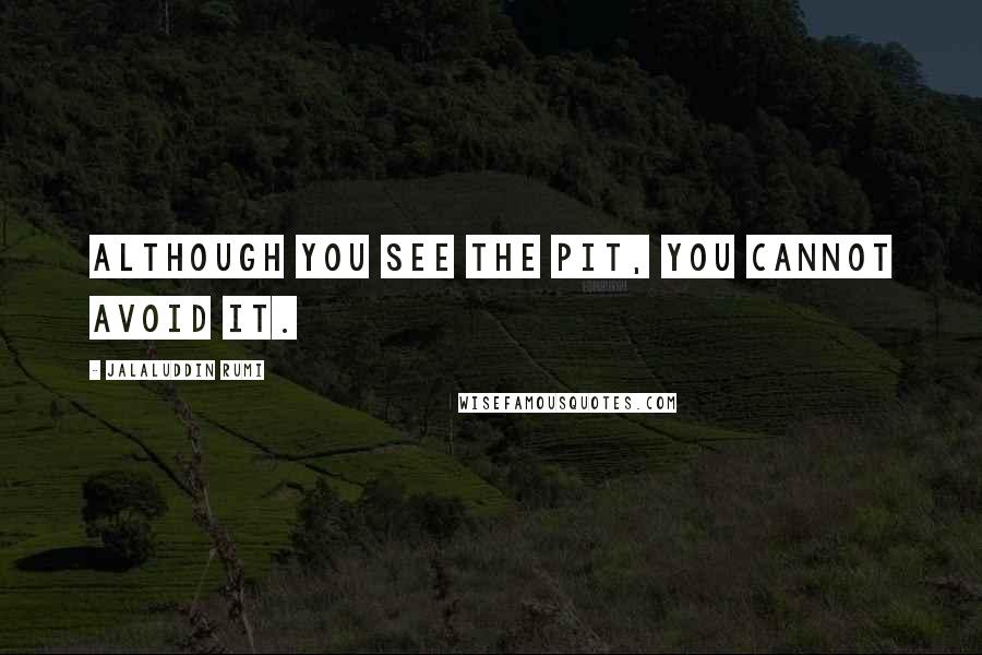 Jalaluddin Rumi Quotes: Although you see the pit, you cannot avoid it.