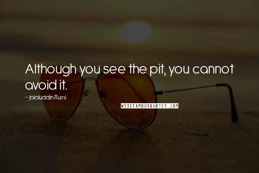 Jalaluddin Rumi Quotes: Although you see the pit, you cannot avoid it.