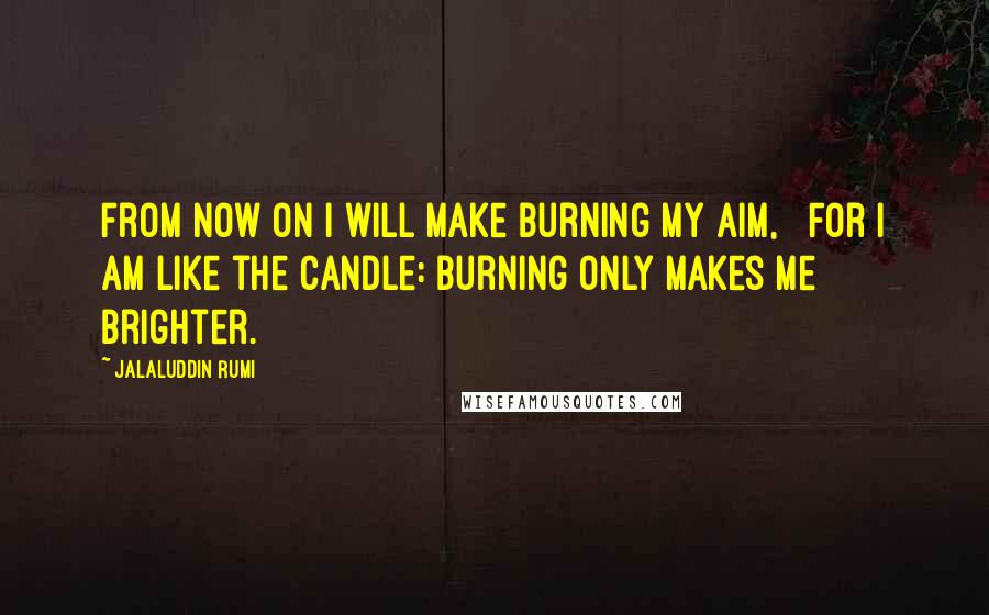 Jalaluddin Rumi Quotes: From now on I will make burning my aim,   For I am like the candle: burning only makes me brighter.