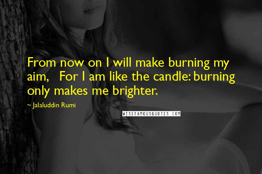 Jalaluddin Rumi Quotes: From now on I will make burning my aim,   For I am like the candle: burning only makes me brighter.