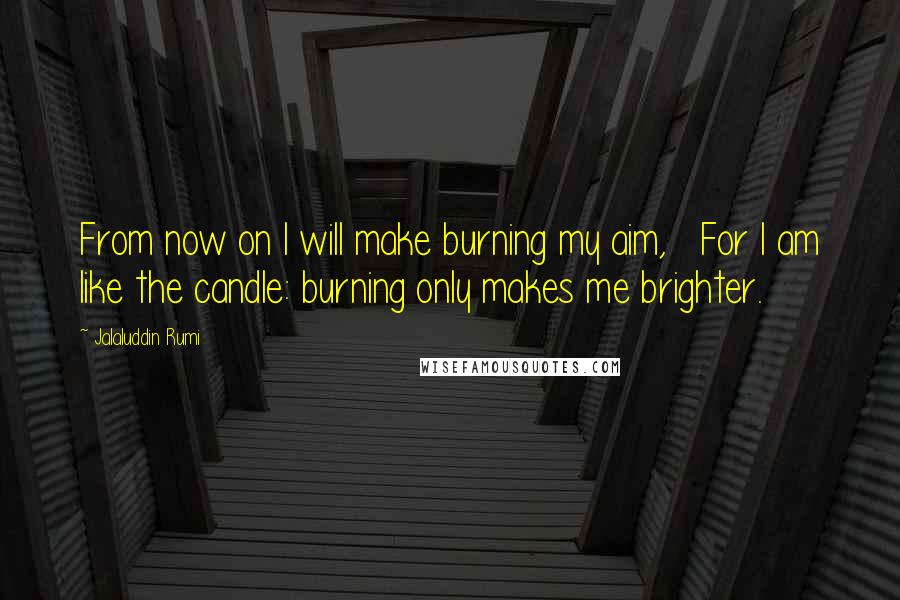 Jalaluddin Rumi Quotes: From now on I will make burning my aim,   For I am like the candle: burning only makes me brighter.