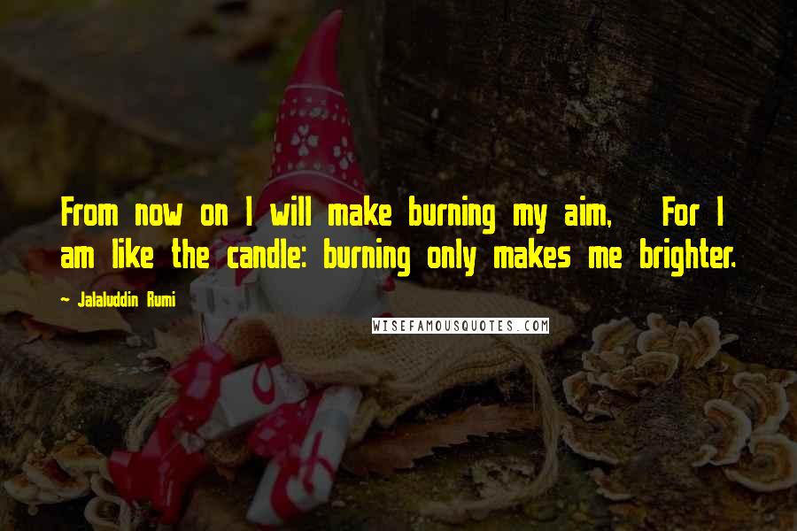 Jalaluddin Rumi Quotes: From now on I will make burning my aim,   For I am like the candle: burning only makes me brighter.