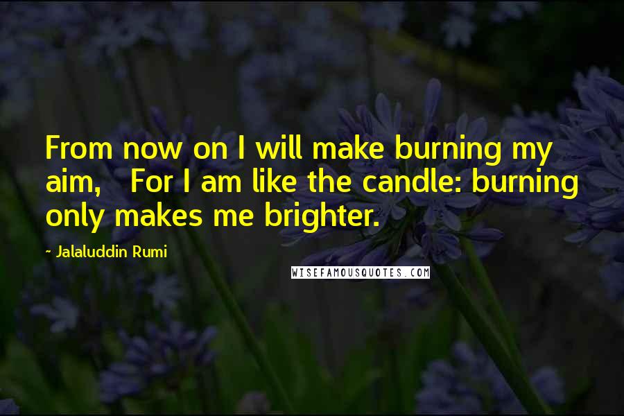 Jalaluddin Rumi Quotes: From now on I will make burning my aim,   For I am like the candle: burning only makes me brighter.