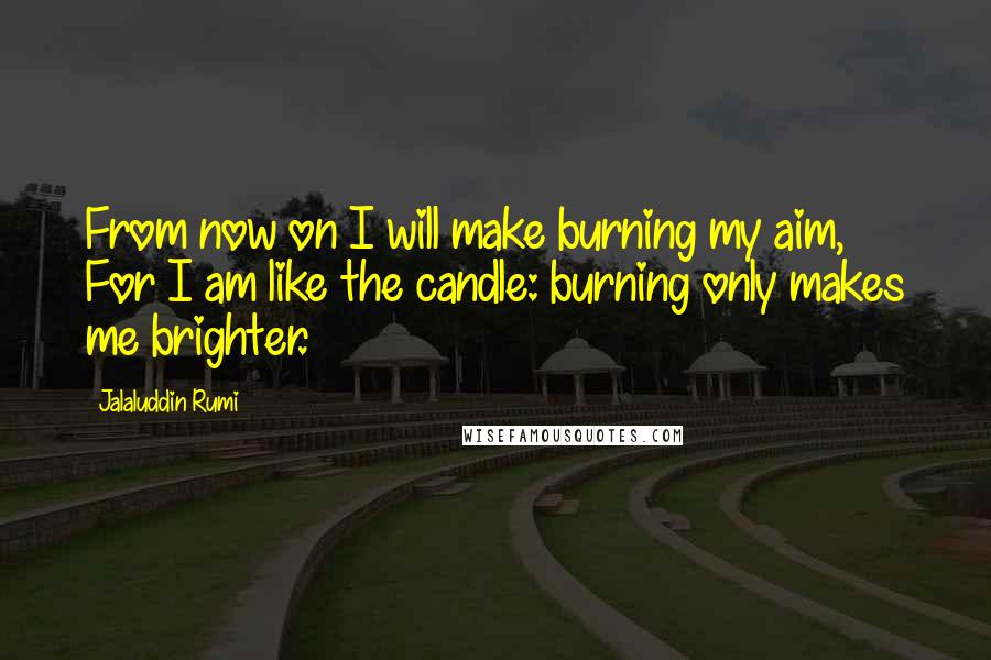 Jalaluddin Rumi Quotes: From now on I will make burning my aim,   For I am like the candle: burning only makes me brighter.