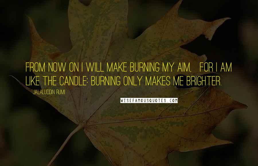 Jalaluddin Rumi Quotes: From now on I will make burning my aim,   For I am like the candle: burning only makes me brighter.