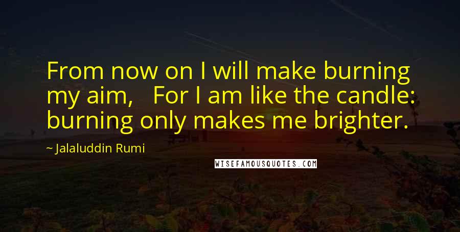 Jalaluddin Rumi Quotes: From now on I will make burning my aim,   For I am like the candle: burning only makes me brighter.