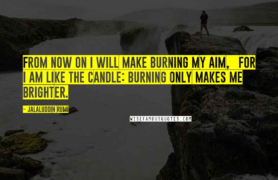 Jalaluddin Rumi Quotes: From now on I will make burning my aim,   For I am like the candle: burning only makes me brighter.