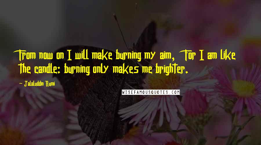 Jalaluddin Rumi Quotes: From now on I will make burning my aim,   For I am like the candle: burning only makes me brighter.