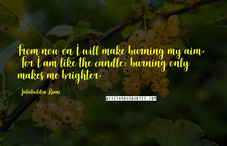 Jalaluddin Rumi Quotes: From now on I will make burning my aim,   For I am like the candle: burning only makes me brighter.