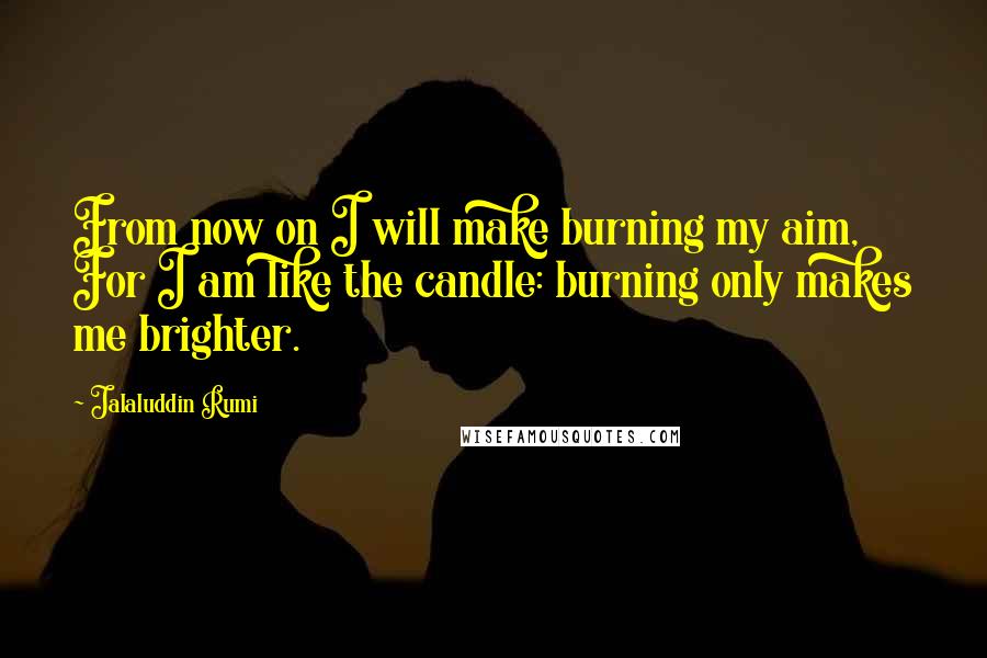 Jalaluddin Rumi Quotes: From now on I will make burning my aim,   For I am like the candle: burning only makes me brighter.