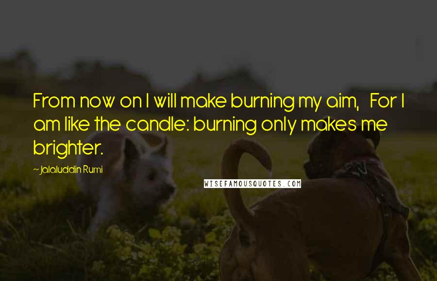 Jalaluddin Rumi Quotes: From now on I will make burning my aim,   For I am like the candle: burning only makes me brighter.