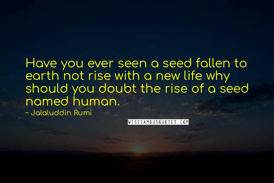 Jalaluddin Rumi Quotes: Have you ever seen a seed fallen to earth not rise with a new life why should you doubt the rise of a seed named human.