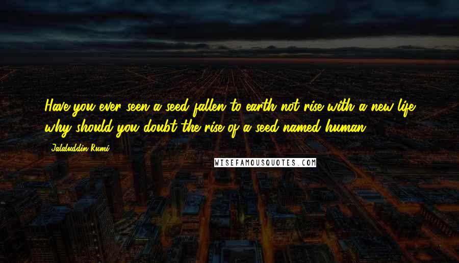 Jalaluddin Rumi Quotes: Have you ever seen a seed fallen to earth not rise with a new life why should you doubt the rise of a seed named human.
