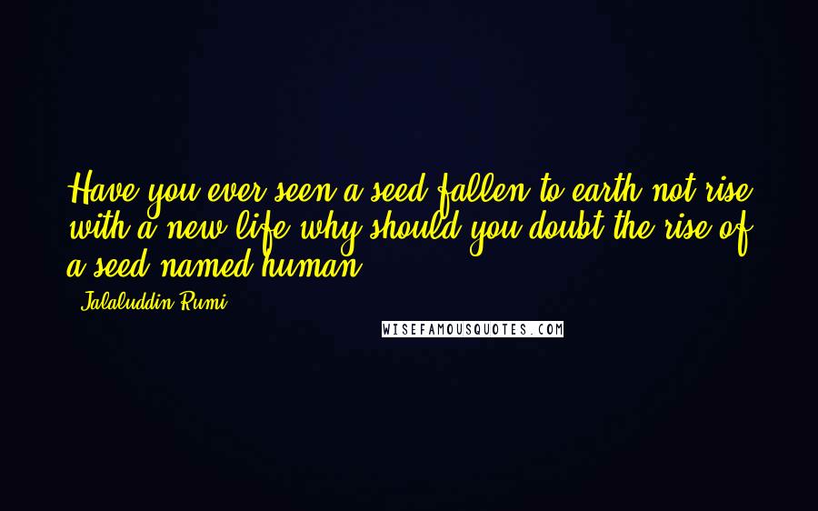 Jalaluddin Rumi Quotes: Have you ever seen a seed fallen to earth not rise with a new life why should you doubt the rise of a seed named human.