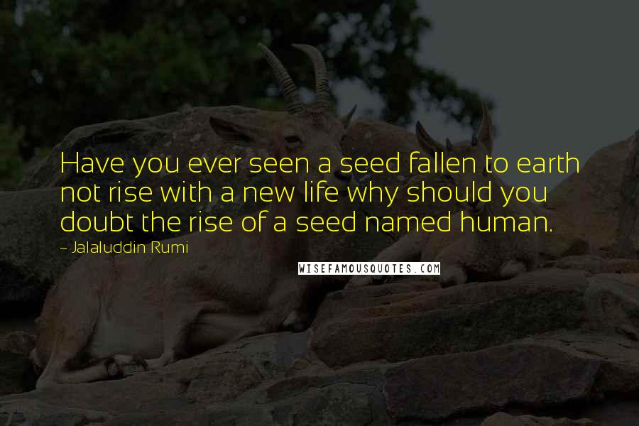 Jalaluddin Rumi Quotes: Have you ever seen a seed fallen to earth not rise with a new life why should you doubt the rise of a seed named human.