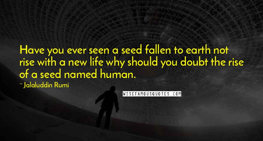 Jalaluddin Rumi Quotes: Have you ever seen a seed fallen to earth not rise with a new life why should you doubt the rise of a seed named human.