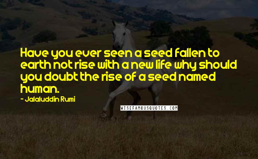 Jalaluddin Rumi Quotes: Have you ever seen a seed fallen to earth not rise with a new life why should you doubt the rise of a seed named human.