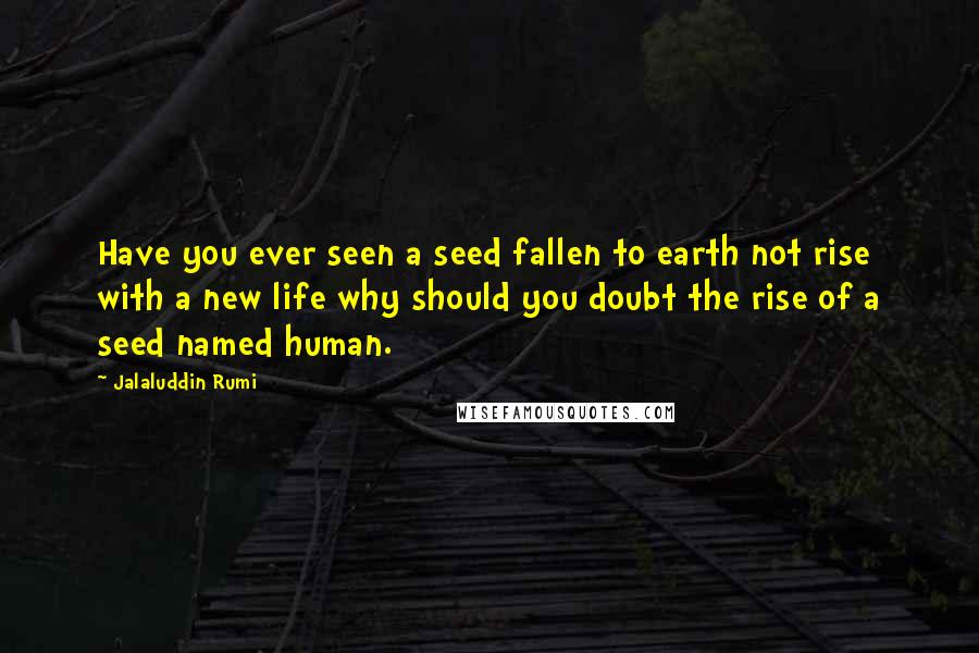 Jalaluddin Rumi Quotes: Have you ever seen a seed fallen to earth not rise with a new life why should you doubt the rise of a seed named human.