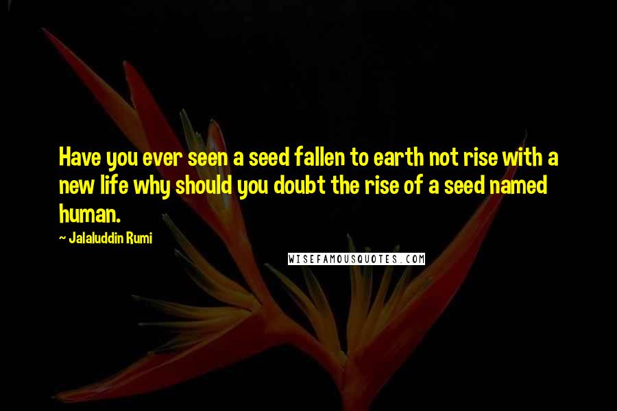 Jalaluddin Rumi Quotes: Have you ever seen a seed fallen to earth not rise with a new life why should you doubt the rise of a seed named human.