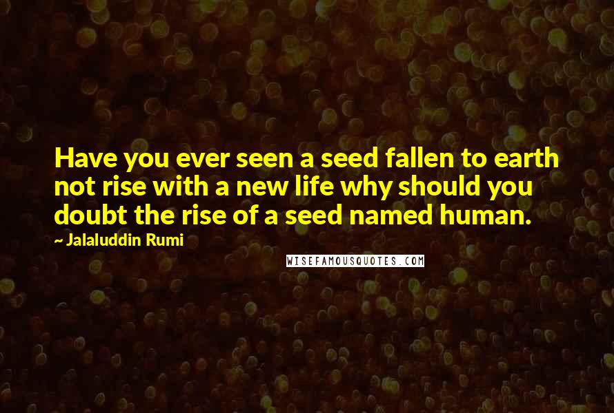 Jalaluddin Rumi Quotes: Have you ever seen a seed fallen to earth not rise with a new life why should you doubt the rise of a seed named human.