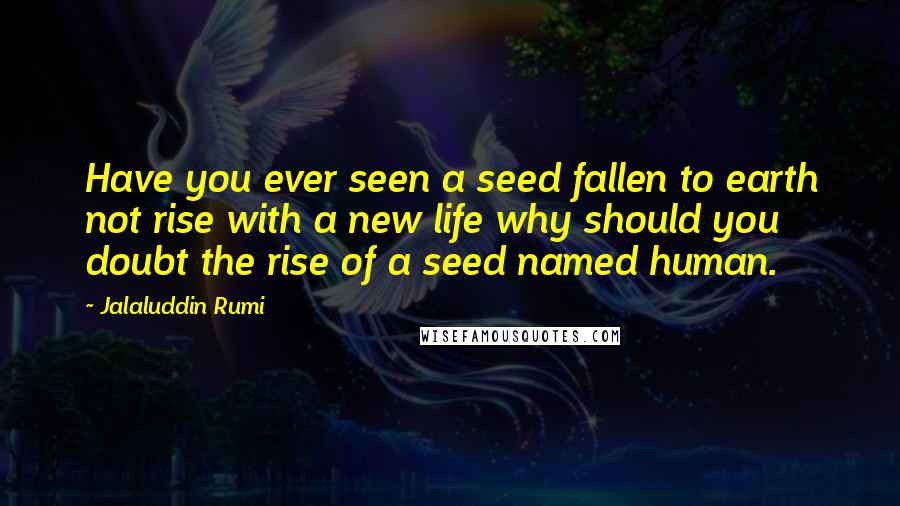 Jalaluddin Rumi Quotes: Have you ever seen a seed fallen to earth not rise with a new life why should you doubt the rise of a seed named human.