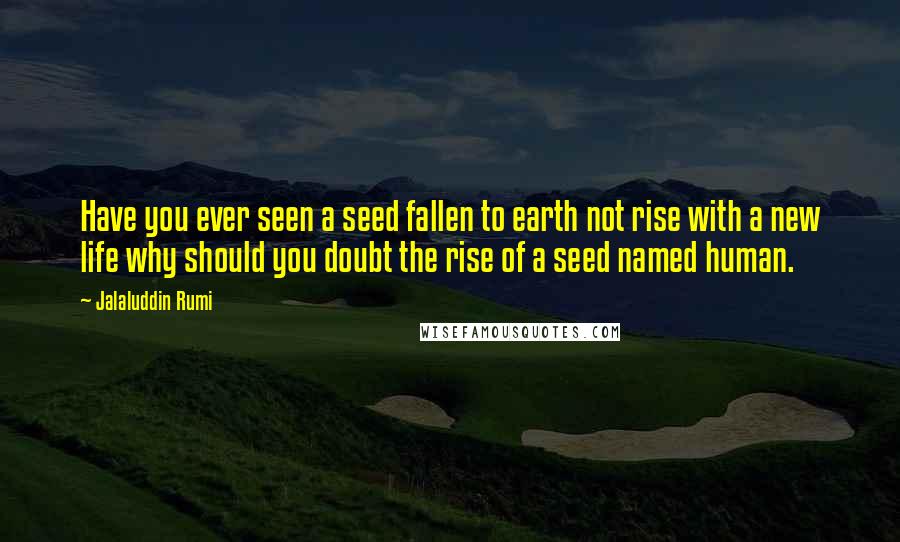 Jalaluddin Rumi Quotes: Have you ever seen a seed fallen to earth not rise with a new life why should you doubt the rise of a seed named human.