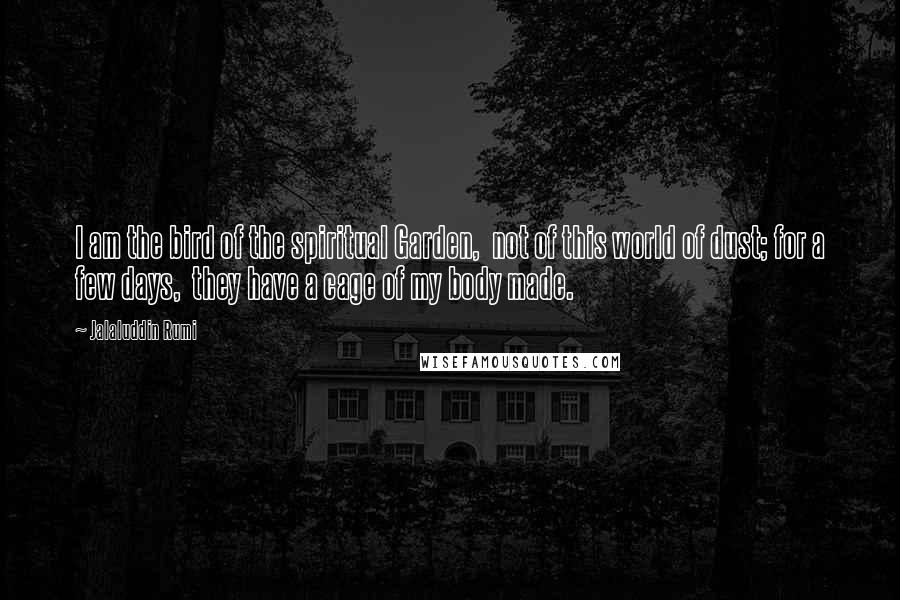 Jalaluddin Rumi Quotes: I am the bird of the spiritual Garden, not of this world of dust; for a few days, they have a cage of my body made.