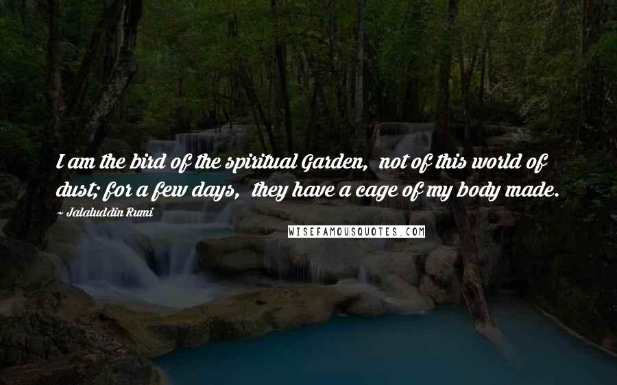 Jalaluddin Rumi Quotes: I am the bird of the spiritual Garden, not of this world of dust; for a few days, they have a cage of my body made.