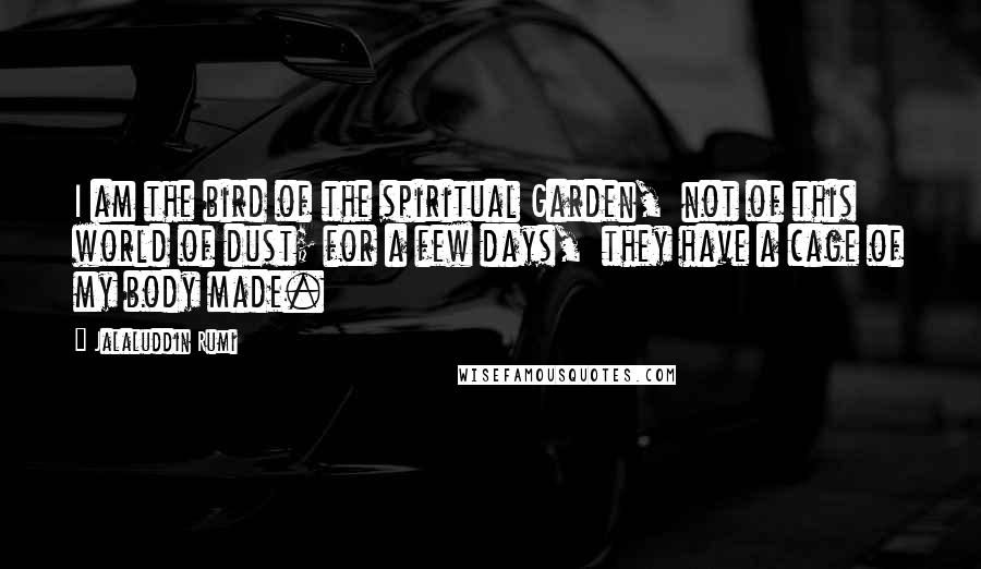 Jalaluddin Rumi Quotes: I am the bird of the spiritual Garden, not of this world of dust; for a few days, they have a cage of my body made.