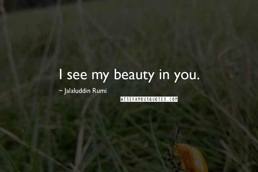 Jalaluddin Rumi Quotes: I see my beauty in you.