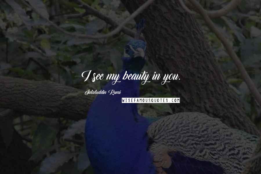 Jalaluddin Rumi Quotes: I see my beauty in you.