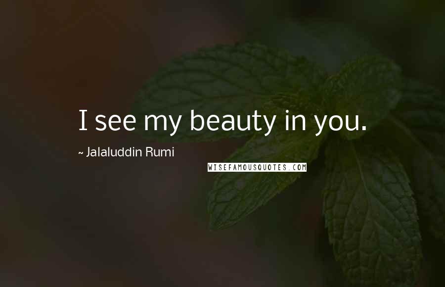 Jalaluddin Rumi Quotes: I see my beauty in you.