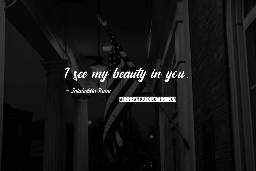 Jalaluddin Rumi Quotes: I see my beauty in you.