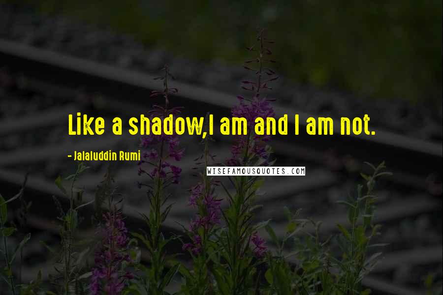 Jalaluddin Rumi Quotes: Like a shadow,I am and I am not.