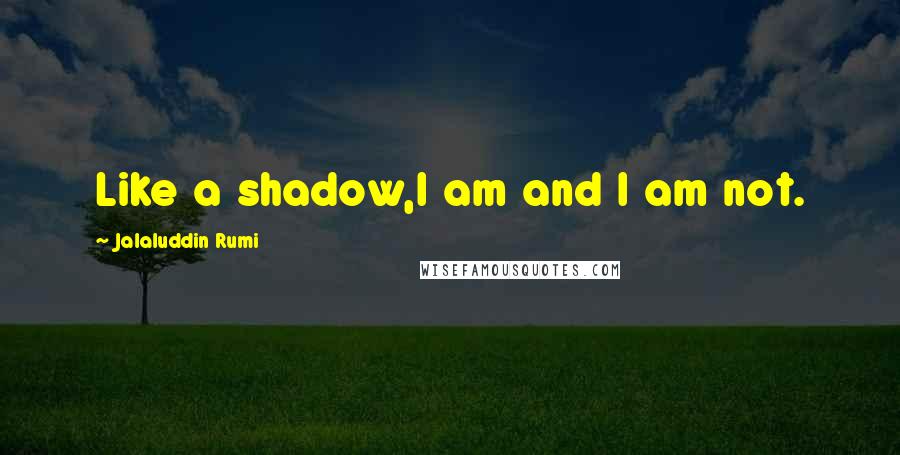 Jalaluddin Rumi Quotes: Like a shadow,I am and I am not.