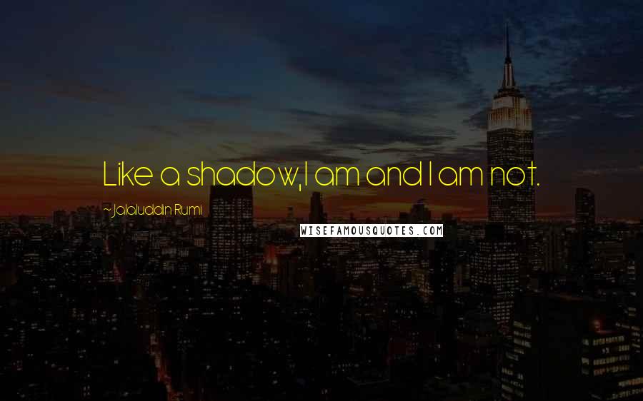 Jalaluddin Rumi Quotes: Like a shadow,I am and I am not.