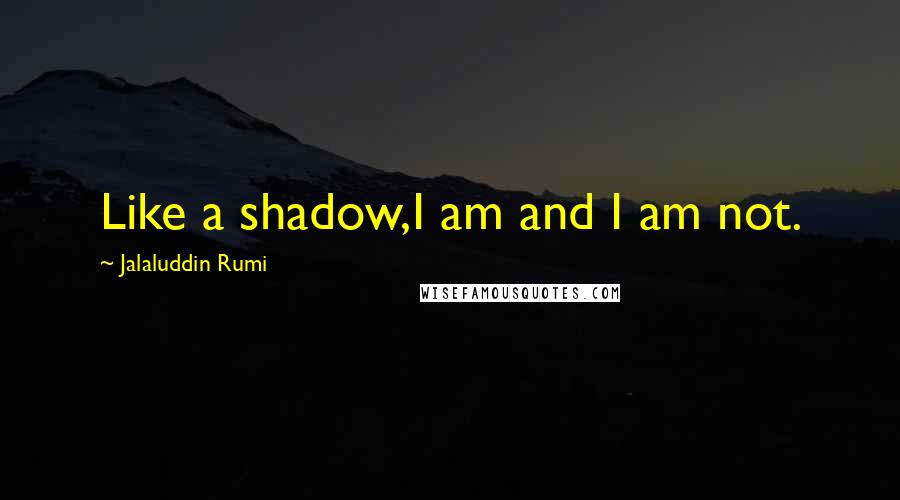 Jalaluddin Rumi Quotes: Like a shadow,I am and I am not.