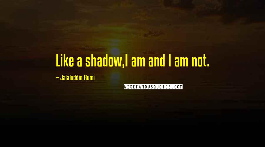 Jalaluddin Rumi Quotes: Like a shadow,I am and I am not.